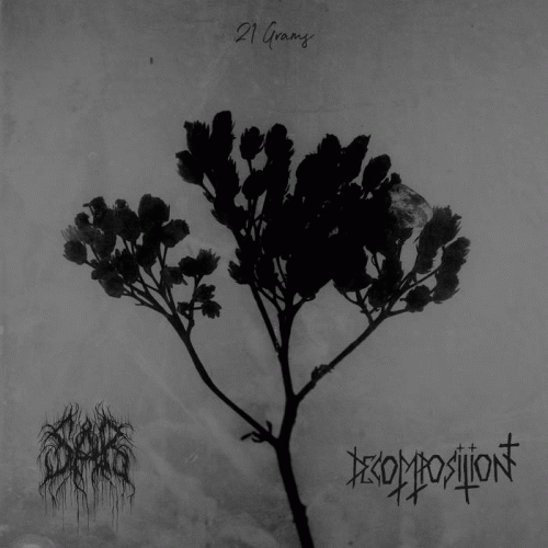 Sår (RUS) : 21 Grams